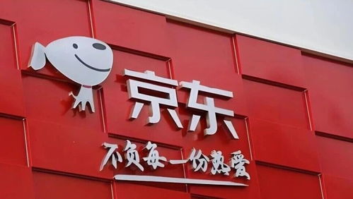 日用百貨撐起京東零售 利潤下滑超50%背后，外賣業務仍需持續輸血